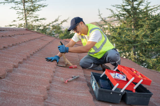 Roof Gutter Cleaning in Coplay, PA